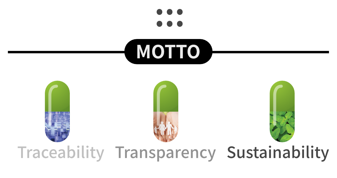 motto 3BAR
